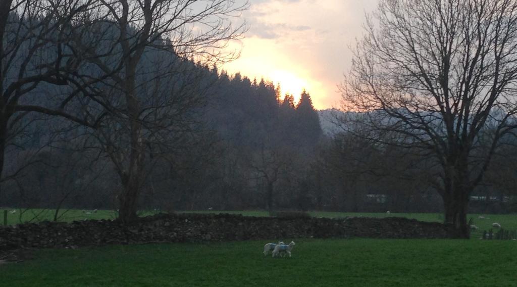 Willa Tyddyn Bach Barn Betws-y-Coed Pokój zdjęcie